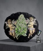 Cojin Pilloweed Cherub - Imagen 2